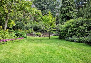 Optimiser l'expérience du jardin à Montgardin
